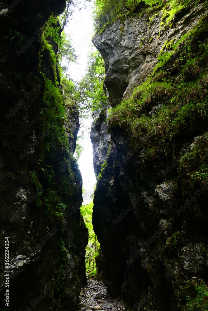 Roßlochklamm, Ausflugsziel in der Steiermark Roßlochklamm, Ausflugsziel in der Steiermark