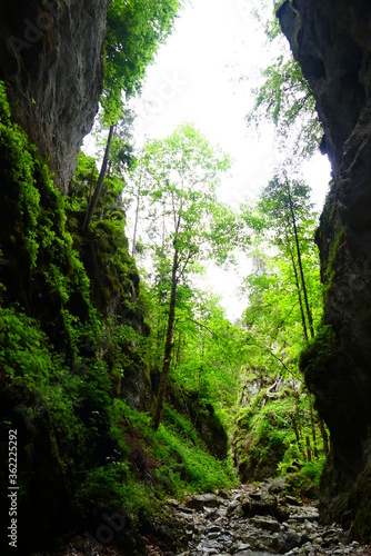 Ro  lochklamm  M  rztal