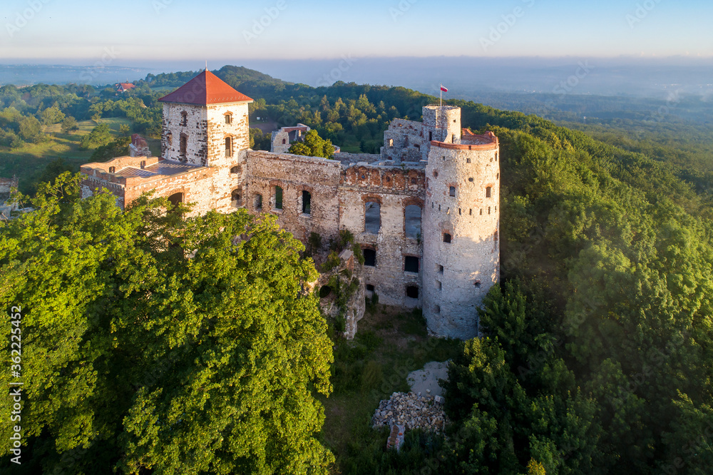 Ruins of medieval Tenczyn castle in Rudno near Krakow in Poland. Aerial view in sunrise light in summer