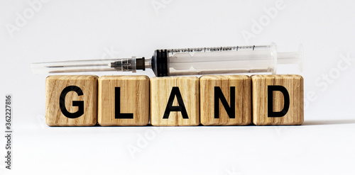 Text GLAND made from wooden cubes. White background