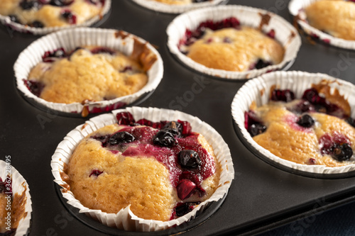 Muffins with black currants in the baking tray, sweet dessert, selected focus narrow depth of field