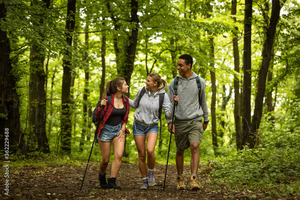 Group of young people hiking trough forest.Outdoors nature concept.	
