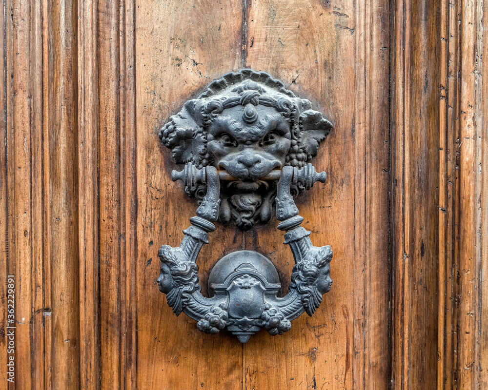 vintage lion head knocker on natural wood door close up