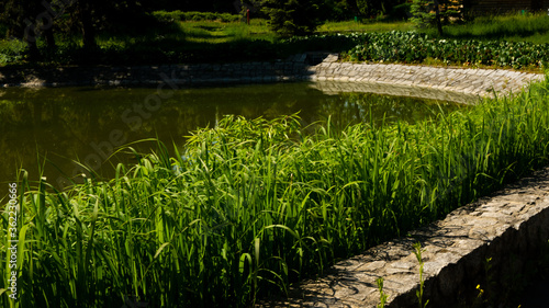 Beautiful views in the Silesian park in Chorzów. Ready for entry.