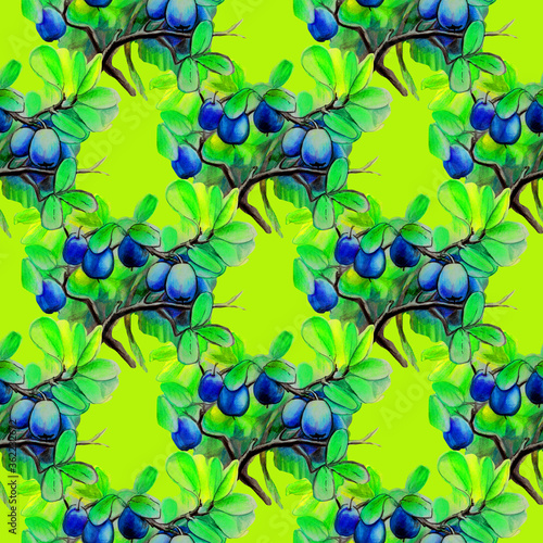 illustration blueberry berries branches pattern