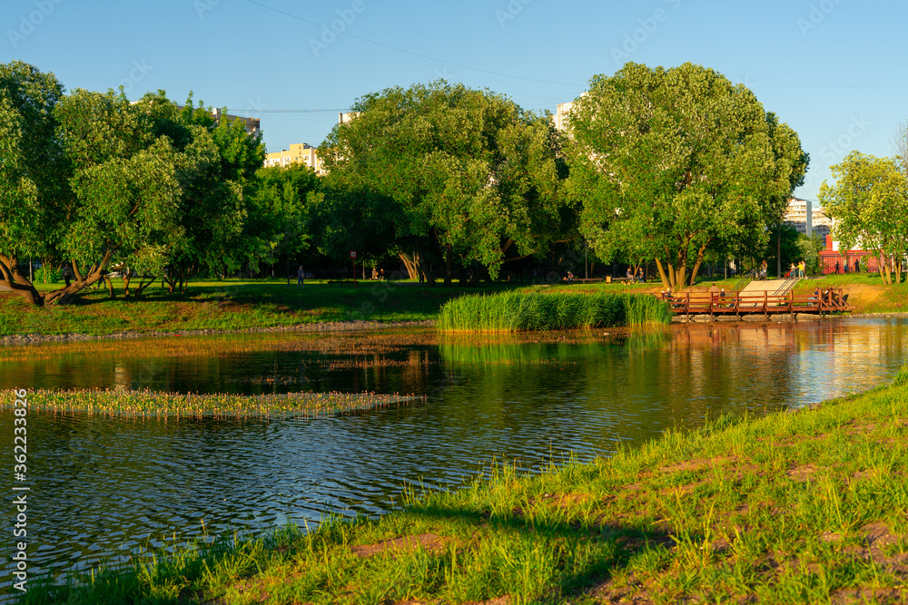 pond in a city park on a summer day pond in a city park on a summer day