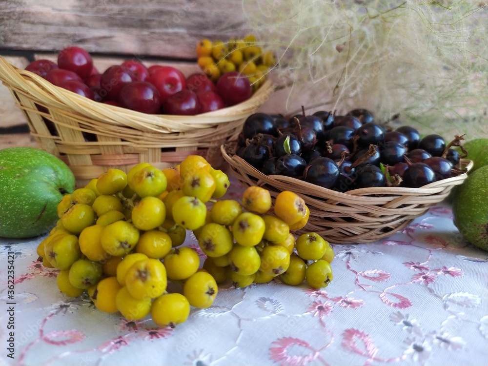 Food fruit and berry still life cherry in a basket black currant in a basket plate unripe yellow rowan green walnuts Food fruit and berry still life cherry in a basket black currant in a basket plate unripe yellow rowan green walnuts