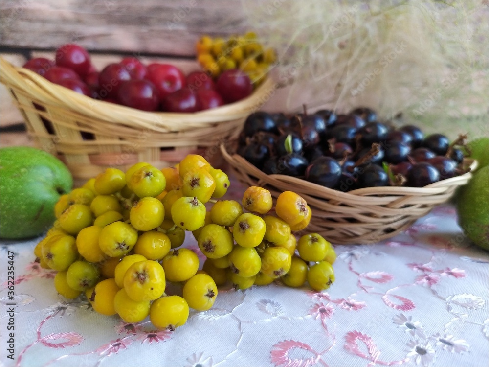 Food fruit and berry still life cherry in a basket black currant in a basket plate unripe yellow rowan green walnuts Food fruit and berry still life cherry in a basket black currant in a basket plate unripe yellow rowan green walnuts