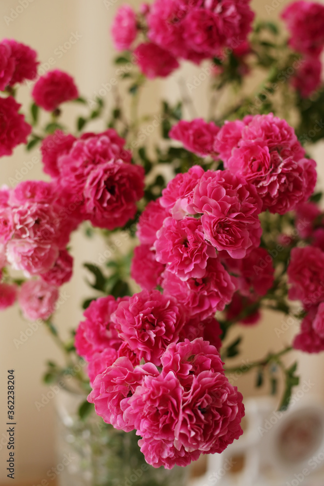summer morning with the scent of roses and tea with milk summer morning with the scent of roses and tea with milk