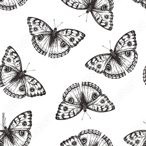 Vector seamless pattern with beautiful butterfly in engraving style. Hand drawn texture with nymphalid isolated on white. photo