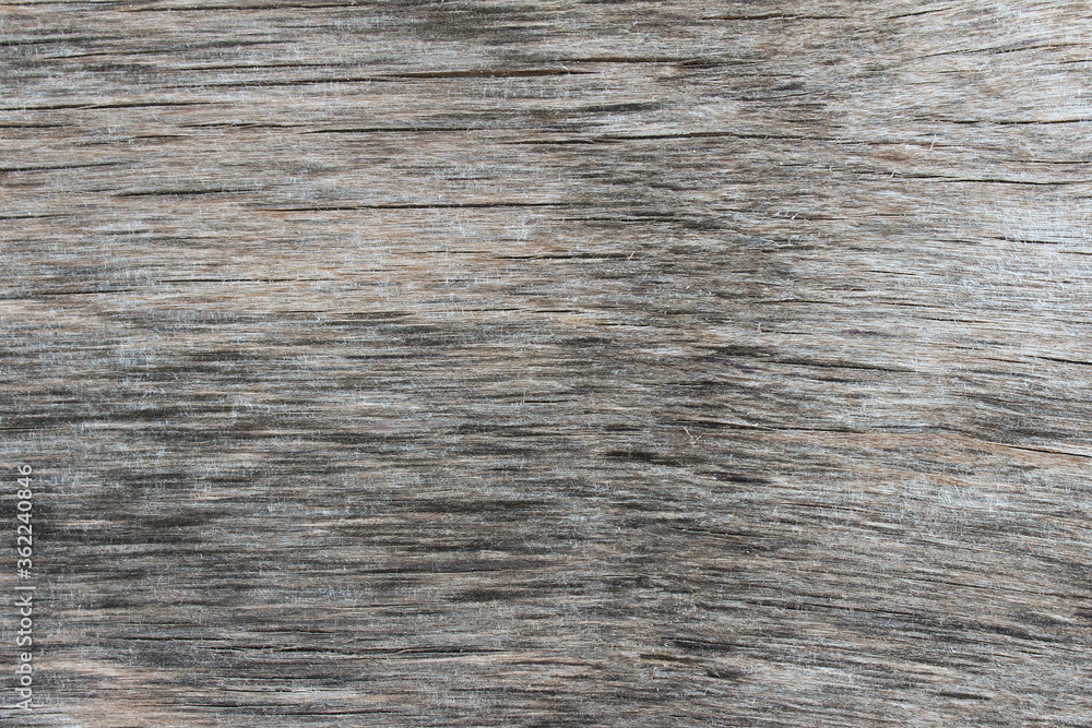 Obraz premium Wooden background texture, summer wall