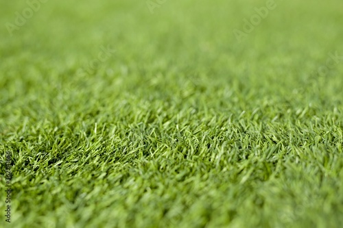 Green grass close up. Field of grass defocus on background for copy space