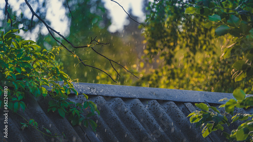 Barn roof and the morning rain. Summer natural background photo