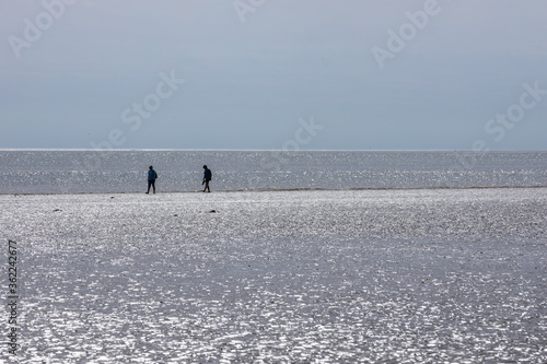 Wallpaper Mural Am Meer Torontodigital.ca