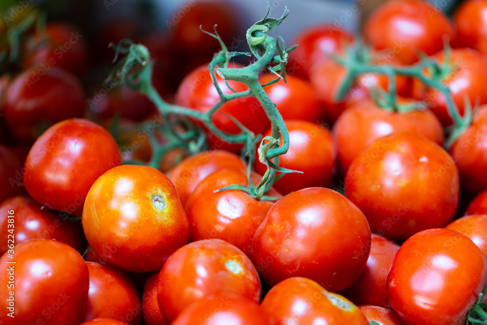 Organic and healthy red cherry tomatoes on the market