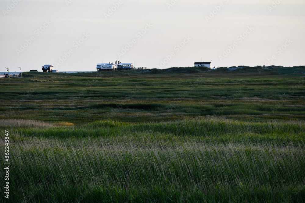 Dune landscape in St. Peter Ording with stilt houses Dune landscape in St. Peter Ording with stilt houses