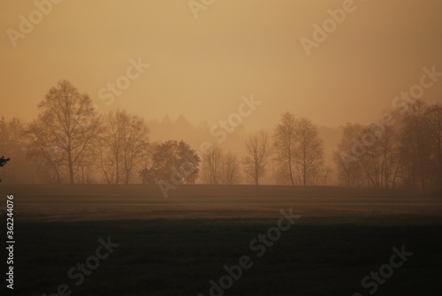 Morgennebel