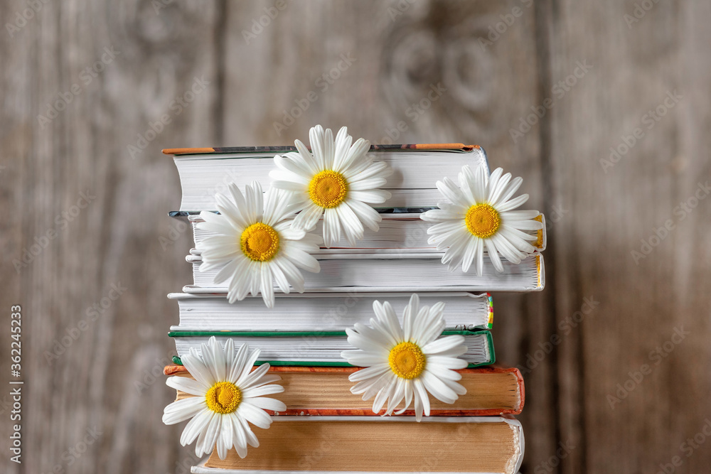 Obraz premium Stacked books on top of each other with daisies between the pages on a wooden background.