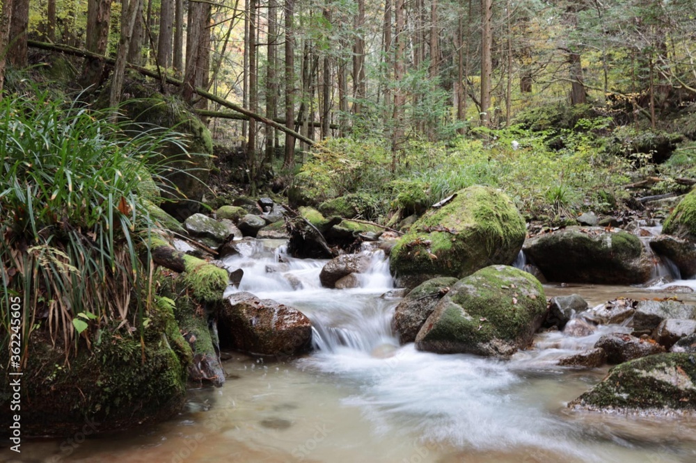 small waterfall in the forest small waterfall in the forest
