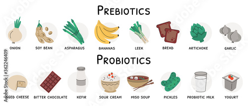 Flat vector illustration of probiotic and prebiotic sources. Products with these bacteria are nutrient rich food such as soy beans, garlic, artichoke, bread, cheese, yogurt, dark chocolate, kefir photo