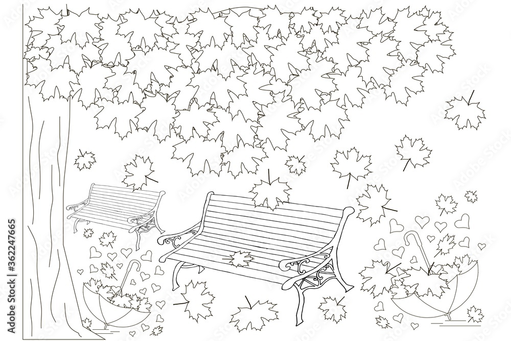 Fototapeta premium Bench under maple tree fallen leaves umbrella sketch. Hand drawn ink monochrome art design element thin line object isolated for coloring page, for web, for print