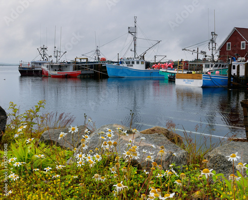 Fishing boats and wildflowers at Johns Cove or Yarmouth Bar Nova Scotia © Reimar