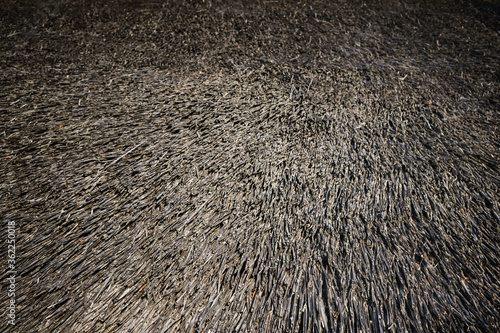 Dry thatched roof. Old straws as background.