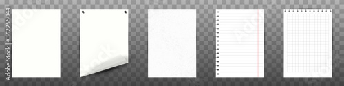 A collection of clean and lined paper sheets. Vector illustration