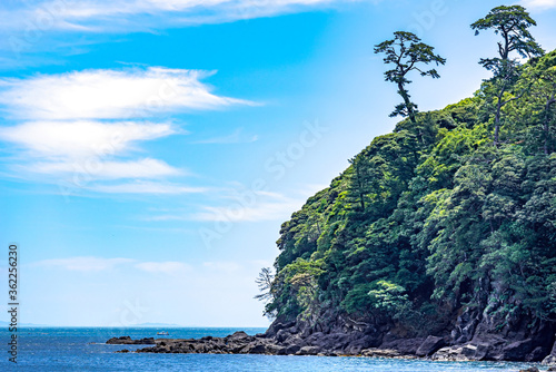 【夏・海イメージ】夏の真鶴半島と海