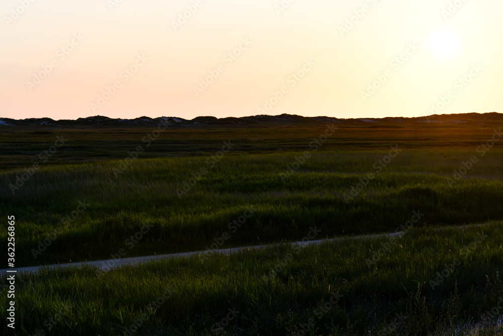 Dune landscape in St. Peter Ording with the setting sun