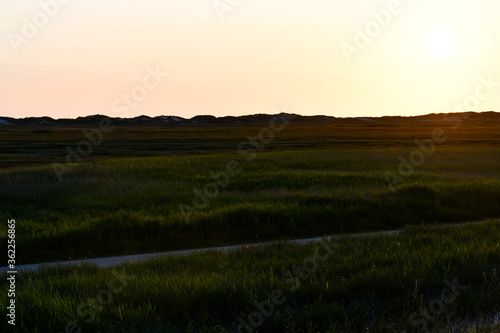 Dune landscape in St. Peter Ording with the setting sun