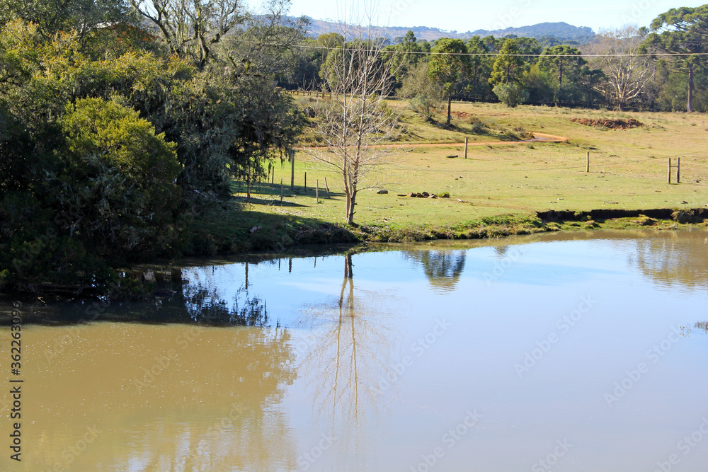 Obraz premium lake in the forest