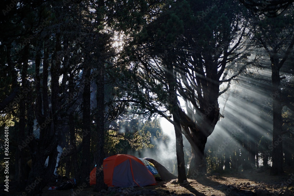 Plakat Morning camping tent view in a cold weather in the middle of a forest in a mountain