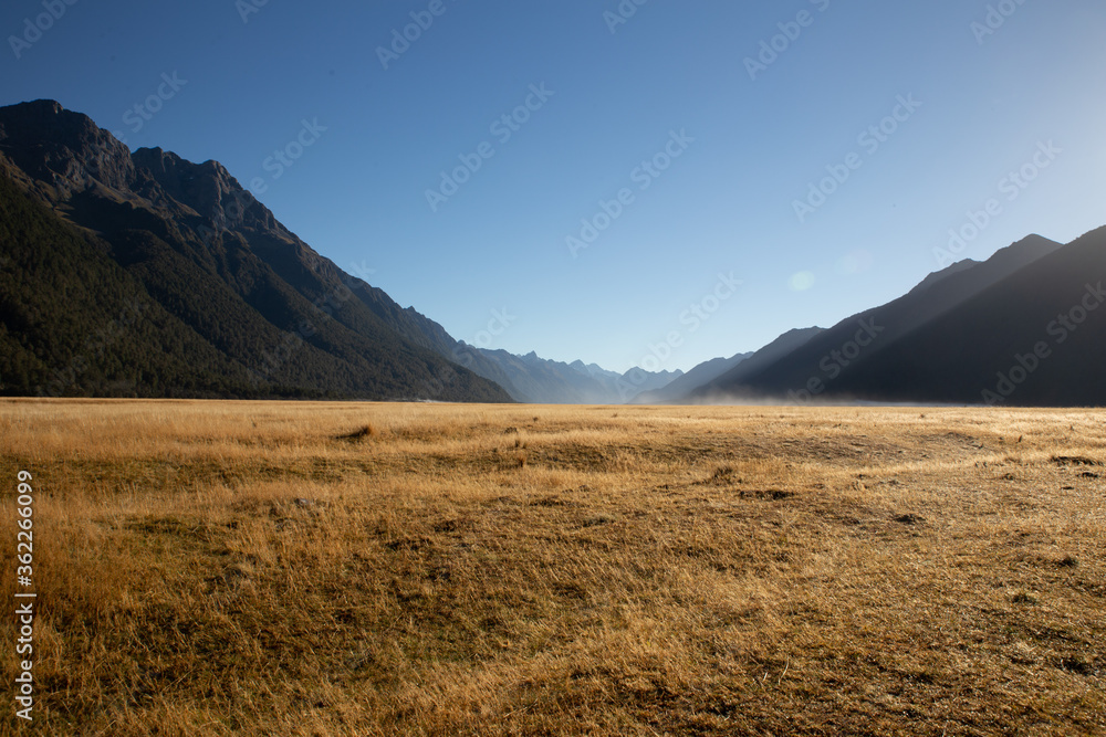 Fototapeta premium A misty afternoon in a savannah surrounded by mountains New Zealand