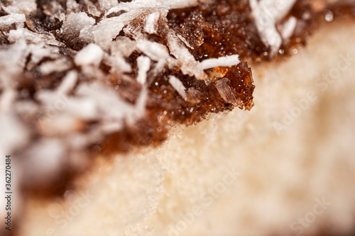 Ultra macro photo of a soft and fluffy lamington with a rich chocolate layer and fine shredded coconut
