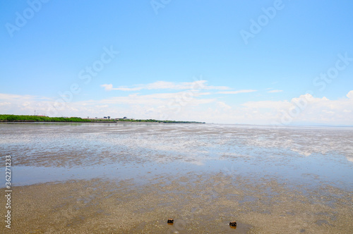 Mudflats at Low Tide on a Fine Day photo