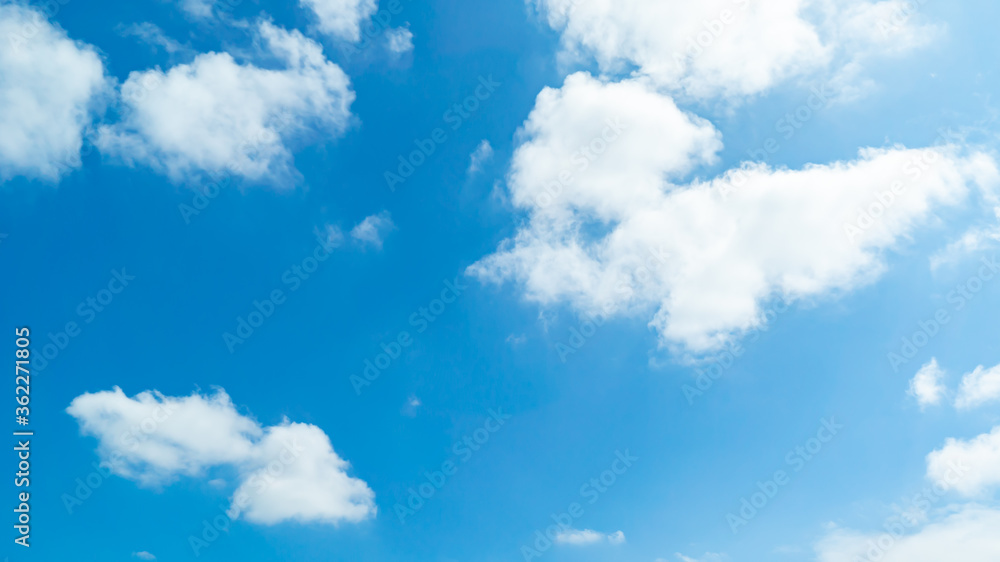 Fototapeta premium 青空