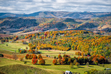 Autumn fall orange red colorful trees forest and farm houses buildings on rolling hills aerial above high angle view landscape in Monterey and Blue Grass, Highland County, Virginia