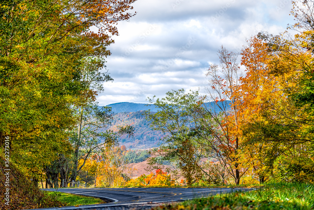 Obraz premium View of empty winding curve turn on road with autumn foliage on trees through forest in appalachian mountains in Highland County, Virginia