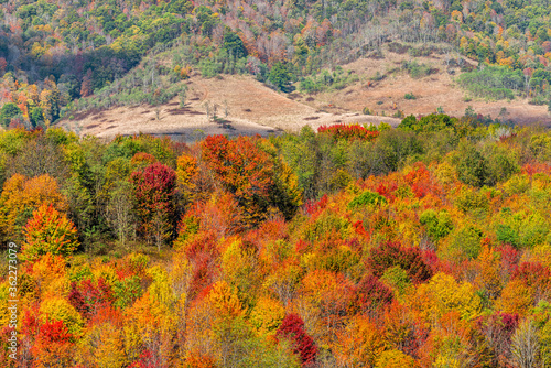Autumn fall orange red colorful trees forest aerial above high angle view landscape in Blue Grass  Highland County  Virginia