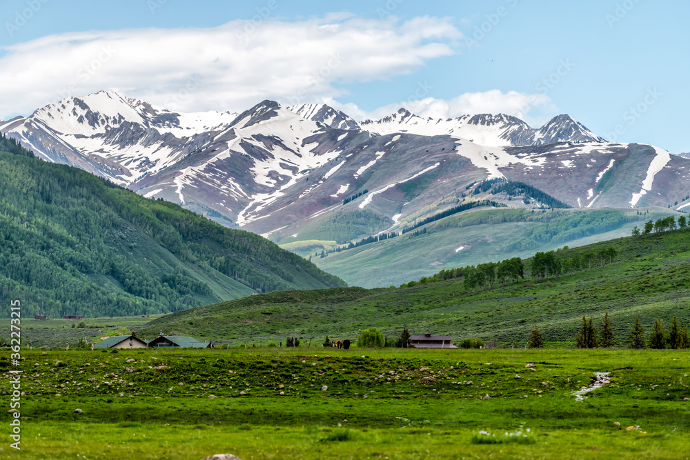 Mount Crested Butte near Gunnison, Colorado village in summer with green grass hill and snow mountains with alpine meadows in early summer