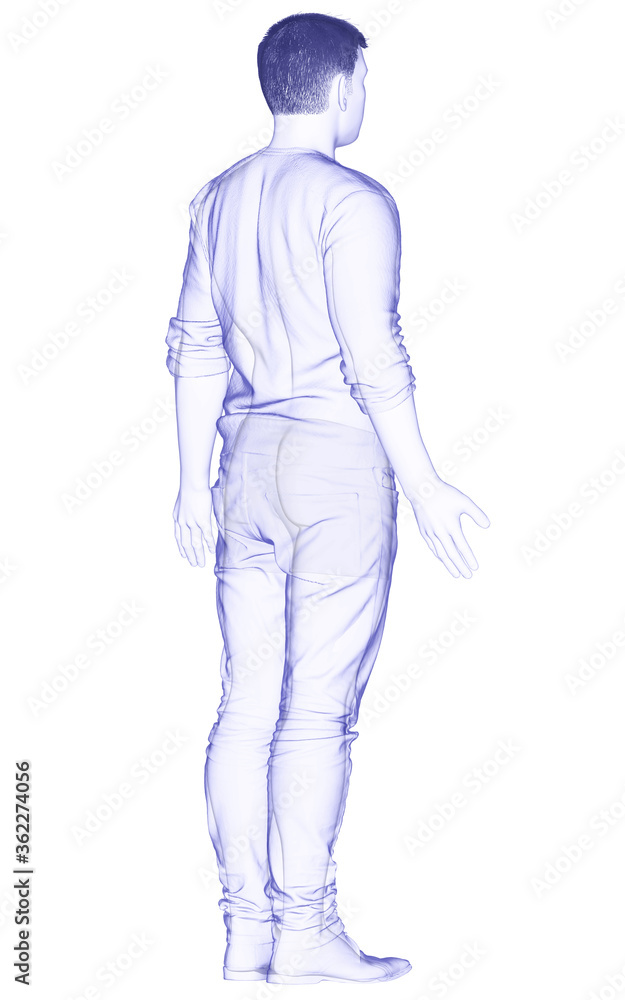 3d rendered illustration of the male body 3d rendered illustration of the male body