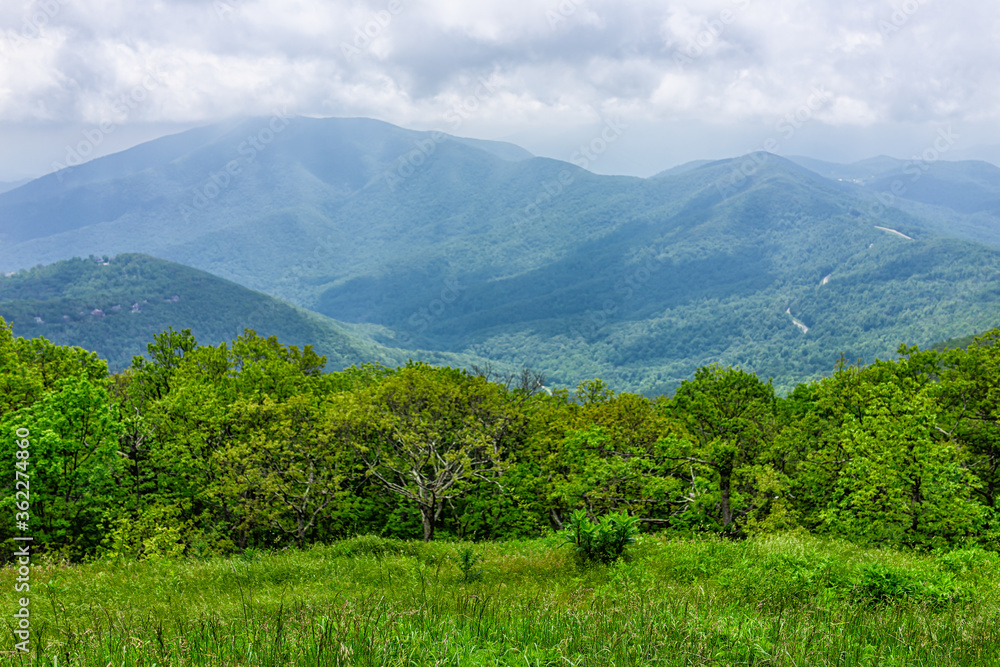Devil's Knob Overlook green grass field meadow at Wintergreen resort town village near Blue Ridge parkway mountains in summer clouds mist fog covering rolling hills Devil's Knob Overlook green grass field meadow at Wintergreen resort town village near Blue Ridge parkway mountains in summer clouds mist fog covering rolling hills