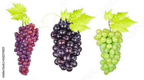grapes isolated on the white background.