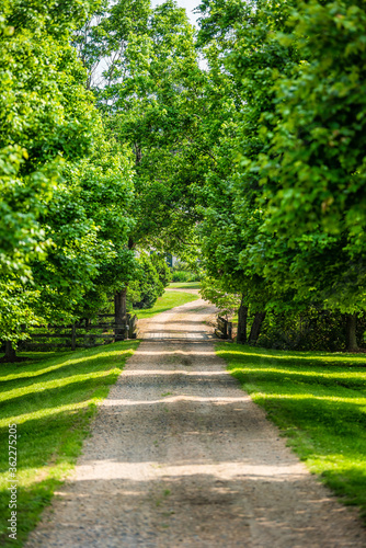 Gated open entrance vertical view with road driveway in rural countryside in Virginia estate gravel dirt path street with green lush trees in summer