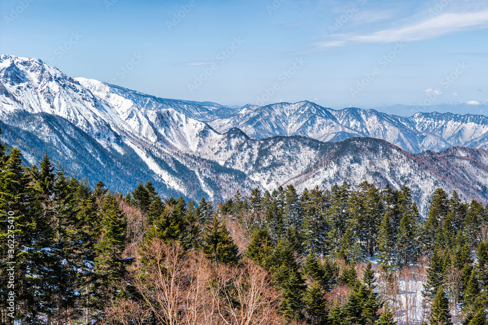 Takayama, Japan high angle view in Shinhotaka Ropeway in Gifu Prefecture mountain park with green pine trees on peak horizon and blue sky Japanese Alps