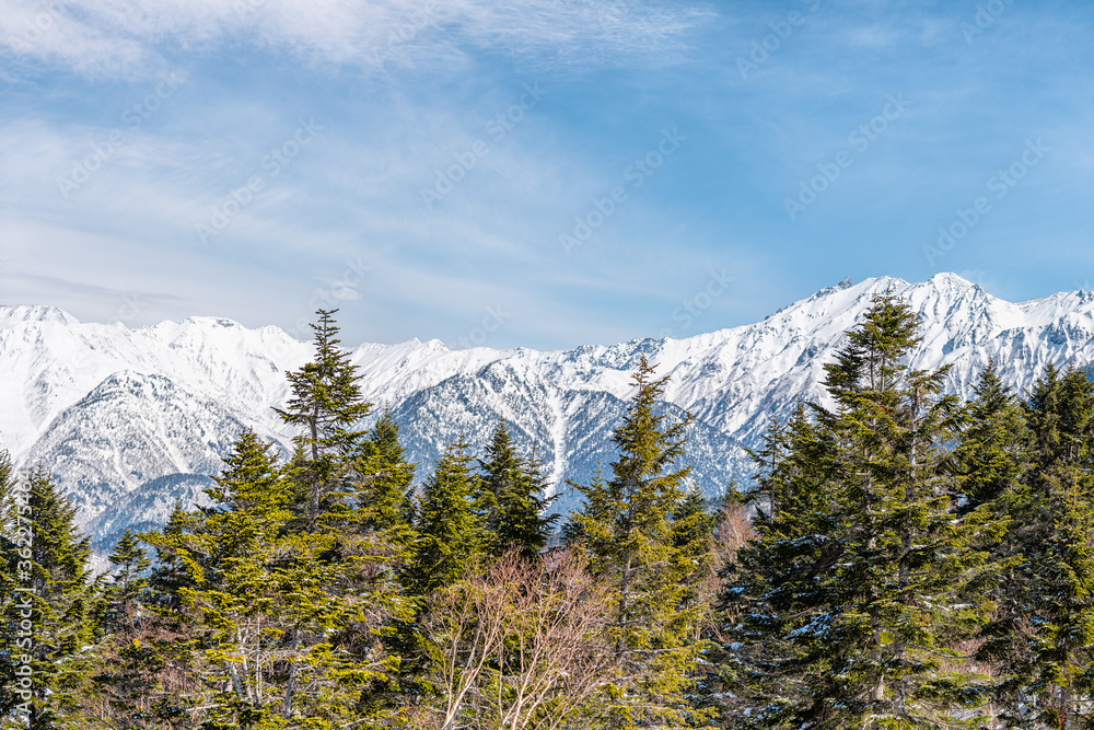 Fototapeta premium Takayama, Japan panorama view in Shinhotaka Ropeway in Gifu Prefecture mountain park with green pine trees on peak and blue sky Japanese Alps