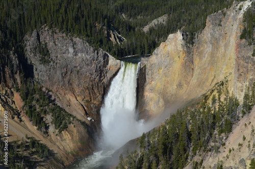Late Spring in Yellowstone National Park: Panorama of Lower Yellowstone Falls and the Grand Canyon of the Yellowstone River Seen from Lookout Point