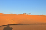 サハラ砂漠ツアー