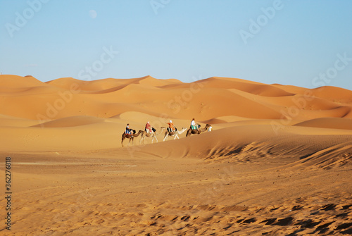 サハラ砂漠ツアー © papanosuke